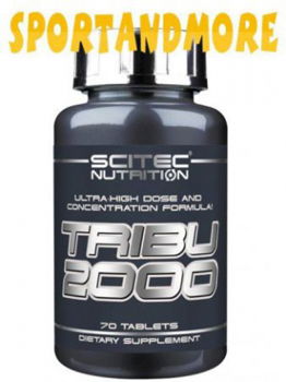 G BOMB, Scitec Nutrition,Super Glutamine Matrix - 1