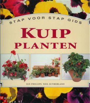 Kuipplanten - Stap voor stap gids - 1