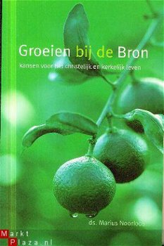 Noorloos, Marius; Groeien bij de Bron - 1