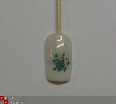 Gedroogde Droog bloemen wit dried flower gel acryl nail art - 1