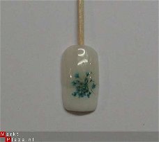 Gedroogde Droog bloemen wit dried flower gel acryl nail art