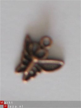 copper buterfly - 1