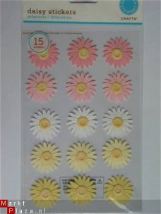 Martha Stewart large pink-yellow daisy