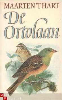 Hart, Maarten 't; De Ortolaan - 1