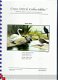 ORIGINEEL BORDUURPATROON WATERBIRDS - 1 - Thumbnail