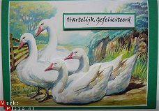 Felicitatiekaart nr. 16: Ganzen