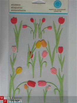 martha stewart pink-orange tulip - 1