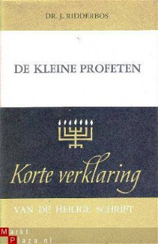 Korte Verklaring der Heilige Schrift. De kleine profeten. De