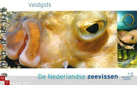 Overzicht van de Nederlandse zeevissen - 1