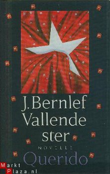 Bernlef, J; Vallende ster - 1