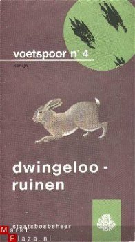 oude routekaart Dwingeloo Ruinen - 1