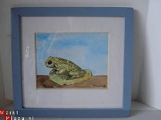 Aquarel  kikker prachtige kleuren met lijstje 20x19