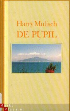 Mulisch, Harry; De pupil