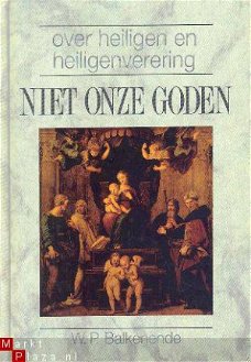 Niet onze goden. Over heiligen en heiligenverering