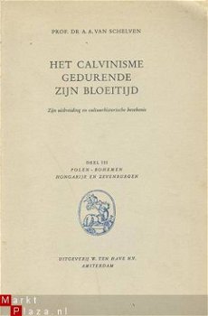 Het Calvinisme gedurende zijn bloeitijd. Zijn uitbreiding en - 1