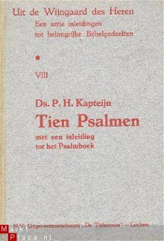 Tien Psalmen met een inleiding tot het Psalmboek - 1