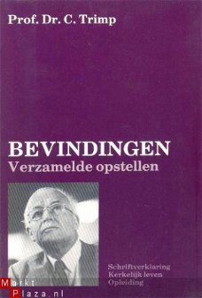 Bevindingen. Verzamelde opstellen. Schriftverklaring. Kerkel