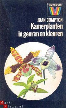 Kamerplanten in geuren en kleuren - 1