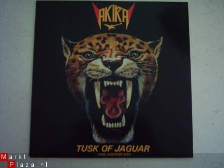 Akira Takasaki: Tusk of jaguar - 1