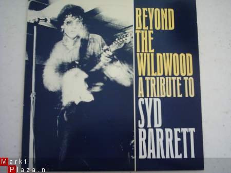 Syd Barrett: Beyond the wildwood - 1