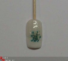 Gedroogde Droog bloem ORANJE dried flower gel acryl nail ART