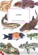 Natuurgids voor de vissen - 1 - Thumbnail
