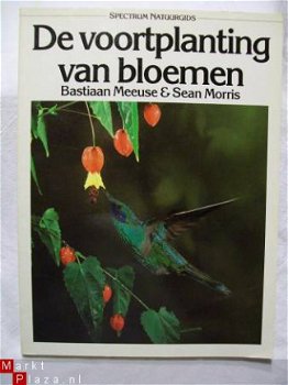 De voortplanting van bloemen Spectrum Natuurgids Meeuwse - 1