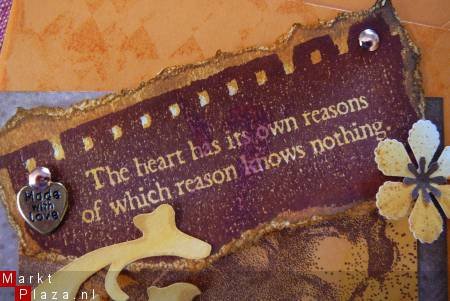 VAN DE OUDE STEMPEL 08: The heart has its own reasons - 1