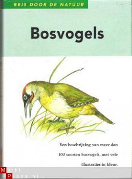 Bosvogels - 1