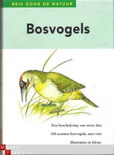 Bosvogels