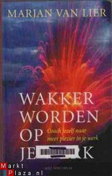 Wakker worden op je werk, Marjan Van Lier