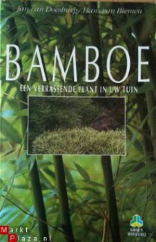 Bamboe, Jan Van Doesburg, - 1