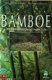 Bamboe, Jan Van Doesburg, - 1 - Thumbnail