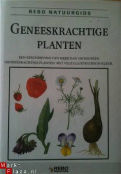 Geneeskrachtige planten, Frantisek Stary, - 1