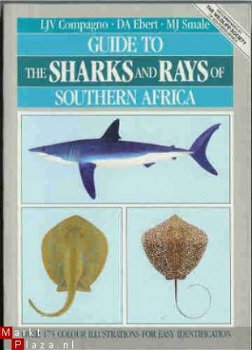 Guide to the SHARKS and RAYS of SOUTHERN AFRICA - 1