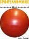 Medicijnballen,Medicijnbal, 1, 2, 3, 4 en 6 kg,Gymnastiekbal - 1 - Thumbnail