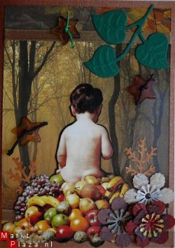 Blancokaart nr. 26: jongetje op fruit