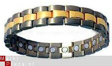 Titanium Magneetarmband model EBT03A