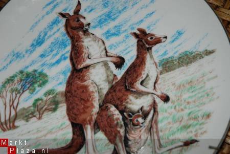 *** Wandbord ** Kangaroo ** Westminster Australia *** - 1