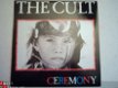 The Cult: 6 LP's - 1 - Thumbnail