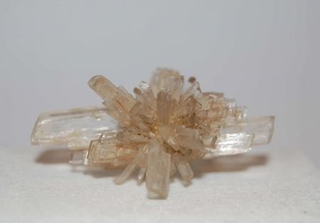 #1 Seleniet of Gips Kristal Gips-kristalgroepje France - 1