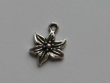 silver flower 10 - 1