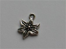 silver flower 10