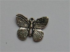 silver butterfly 10