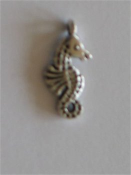 silver seahorse - 1