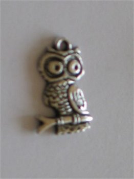 silver owl 1 - 1