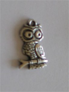 silver owl 1