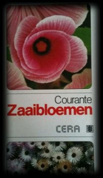 Courante zaaibloemen - 1
