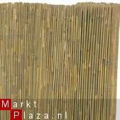 Bamboestokken 250 st.180cm ø14-16 €59,99 - 4
