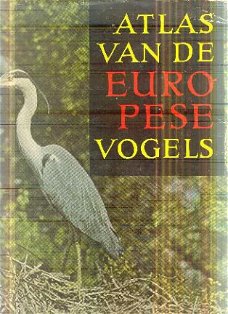 Voous, K; Atlas van de Europese Vogels